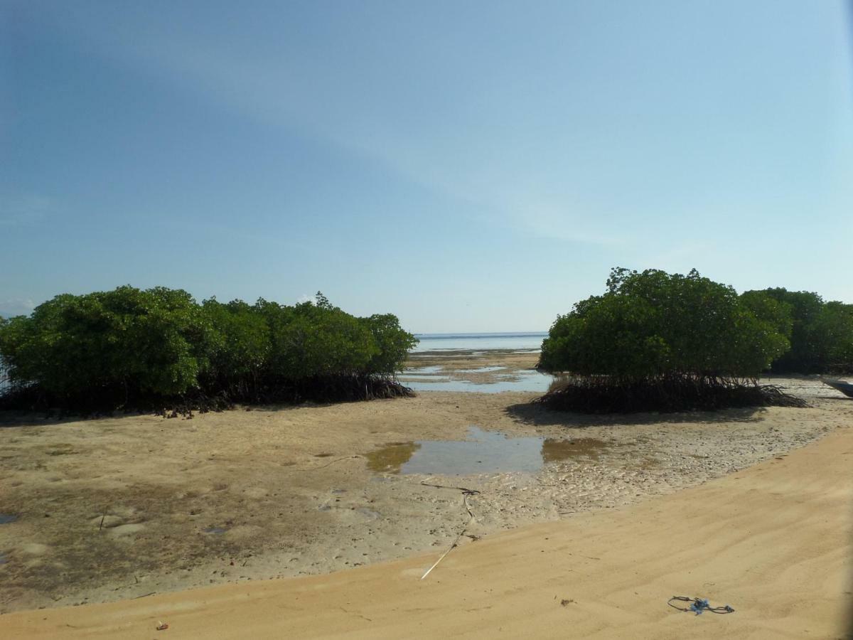 Mangrove Paradise Retreat Nusa Lembongan Eksteriør bilde